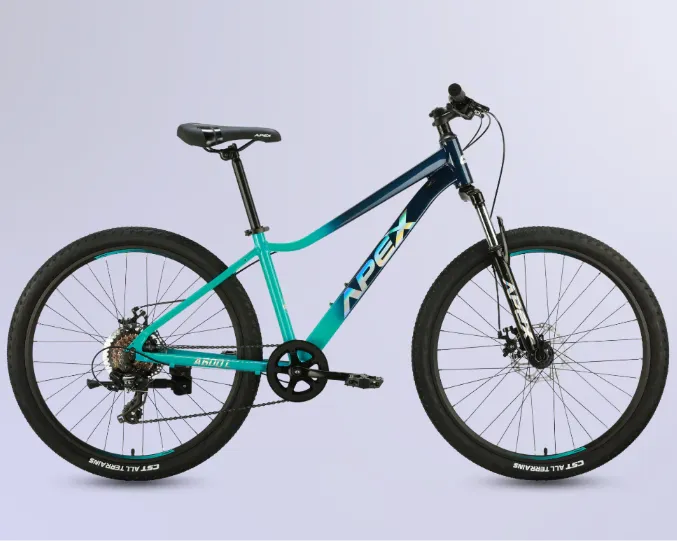 Why Apex Bicycles Are a Great Choice for South African Riders